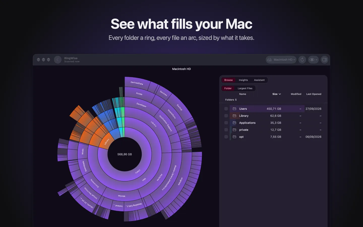The RingWise chart of a Mac's disk beside a list of folders sorted by size
